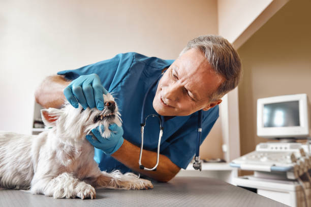 Best Emergency Root Canal Treatment in Lockland, OH